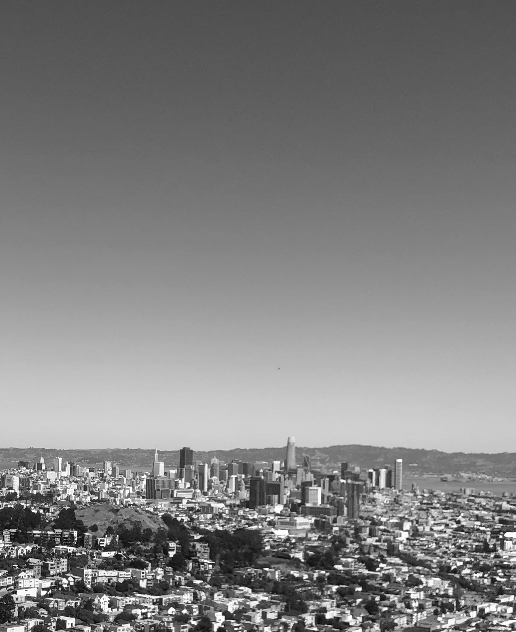 Dolores Park