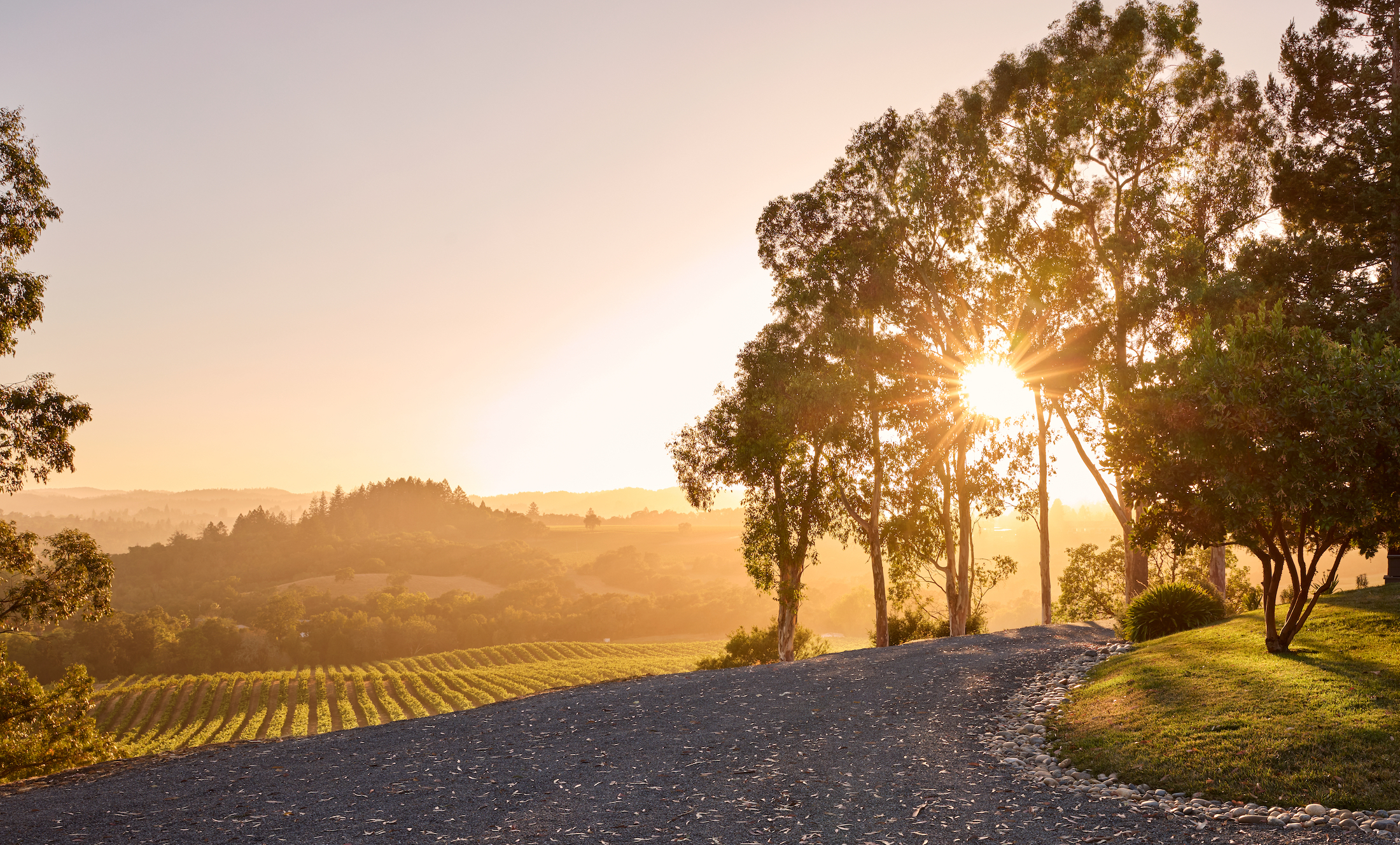 Sonoma Valley